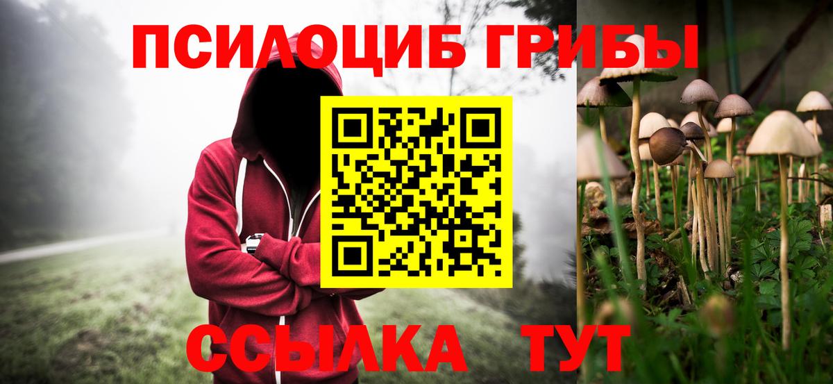 Курск  Галлюциногенные грибы Psilocybe  Вход с VPN  Псилоцибиновые грибы ЛСД 