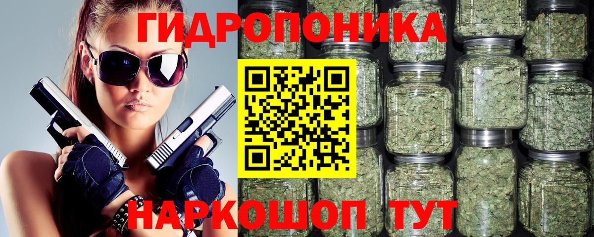 Бошки Шишки марихуана  Вход с VPN  Марихуана ГИДРОПОН  Курск  МАРИХУАНА LSD WEED 